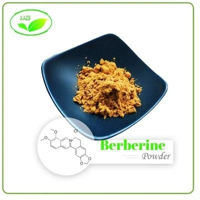 Berberine Hydrochloride Powder
